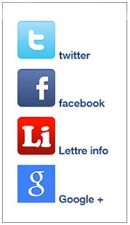 facebook, twitter, google plus, réseaux sociaux sur l'entreprise